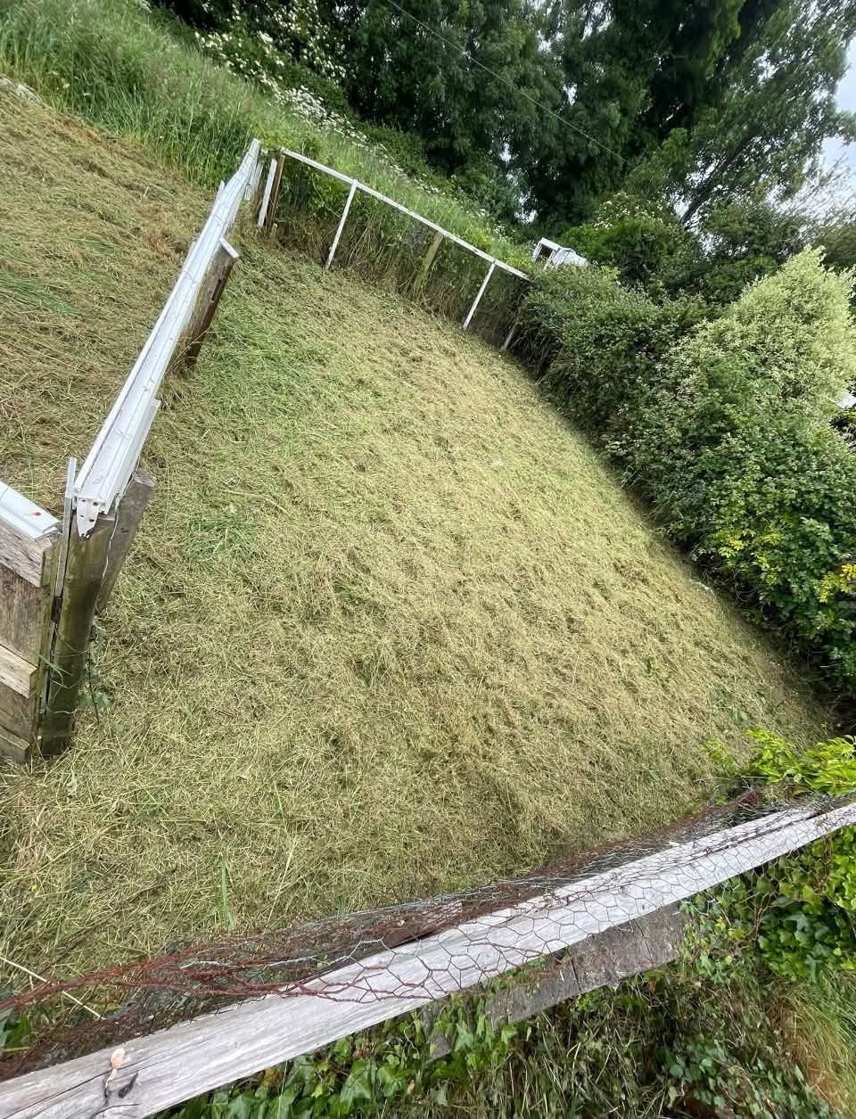 Overgrown bank tamed — after