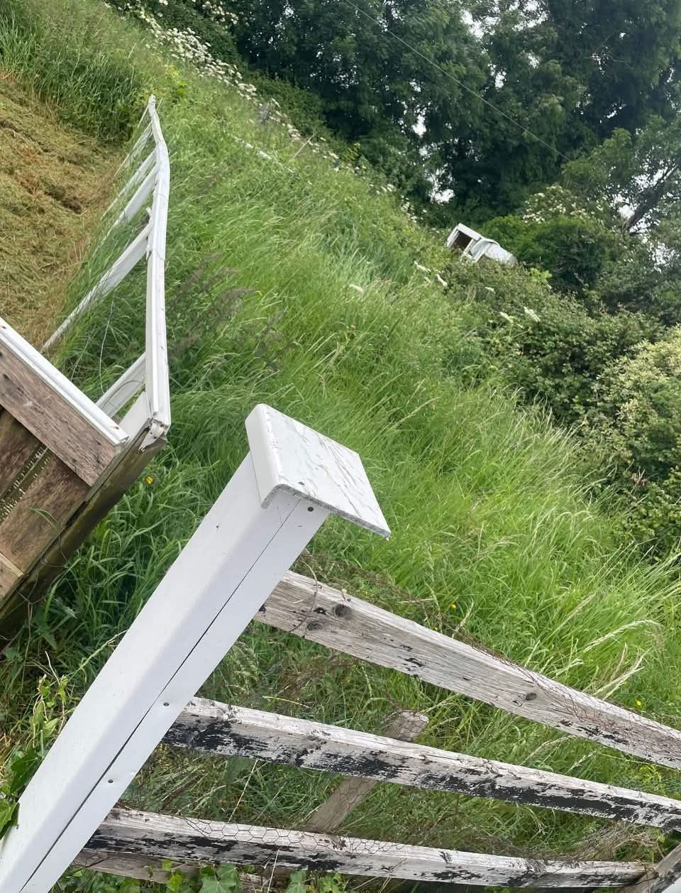 Overgrown bank tamed — before
